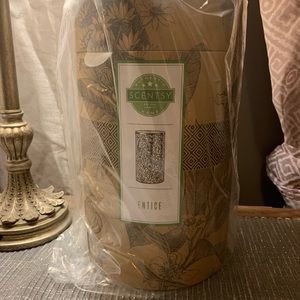 NEW | Scentsy ENTICE Diffuser Shade